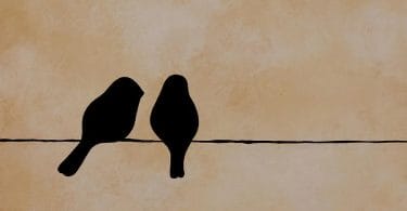 Two Birds On a Wire