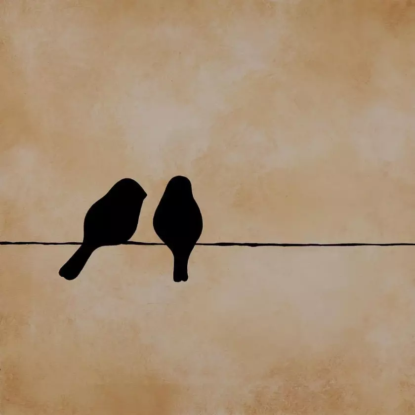 Two Birds On a Wire