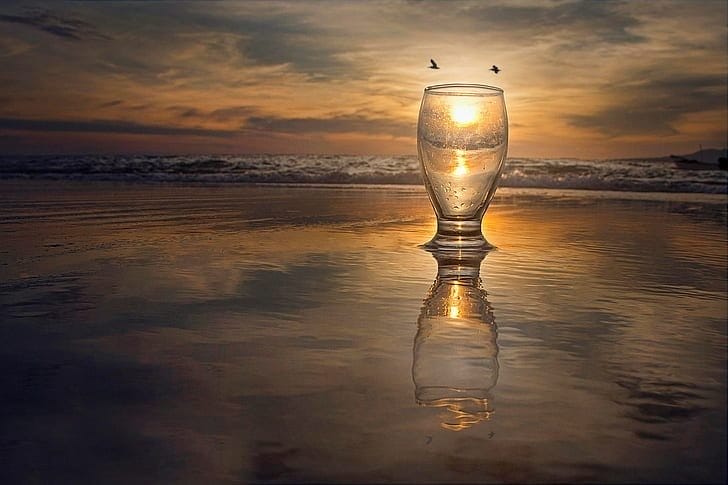 Bird Reflecting In Glass Of Water