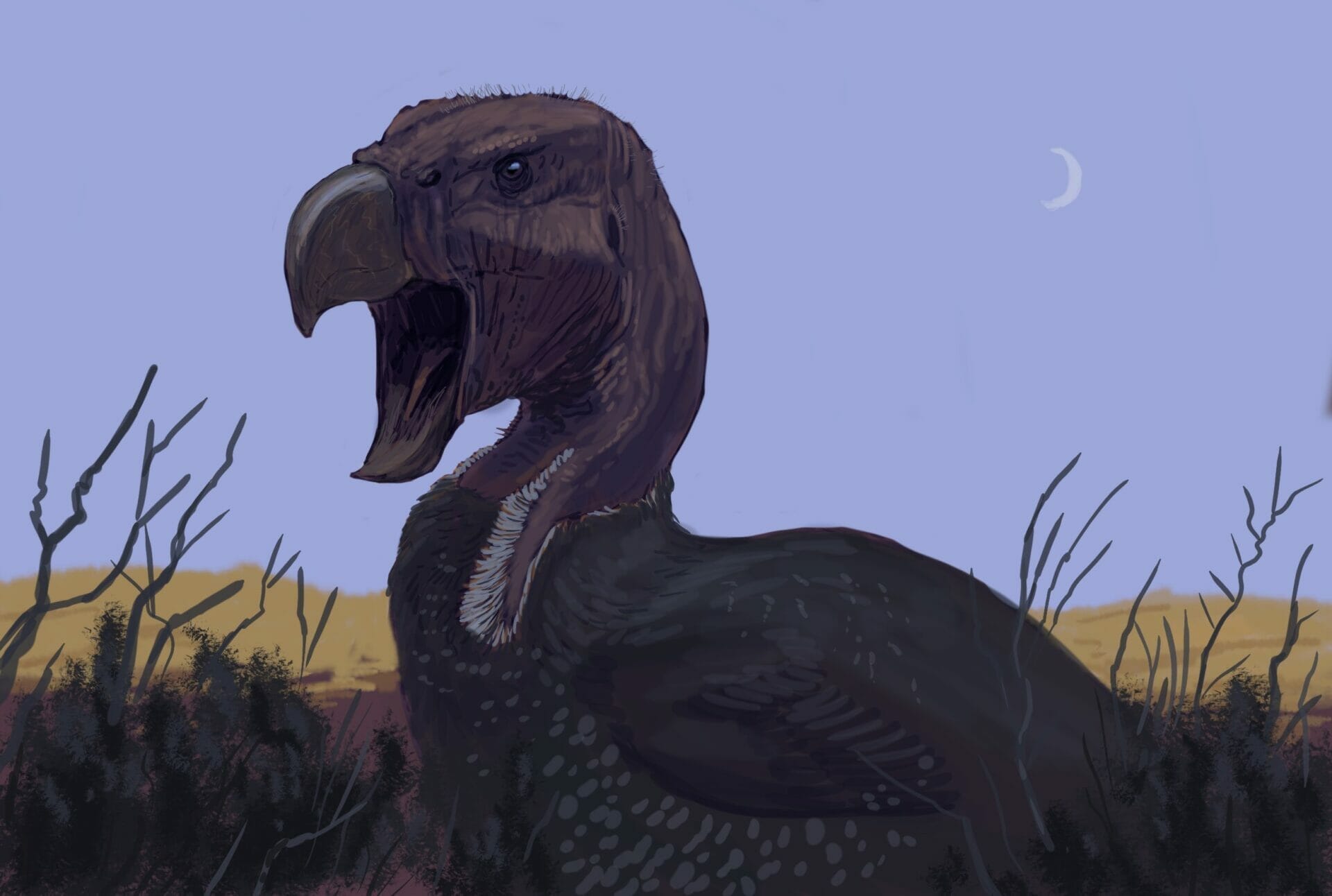 prehistoric birds still alive today prehistoric birds still alive today