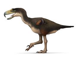 prehistoric terror bird