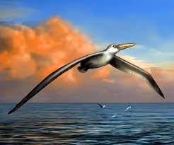 prehistoric birds still alive