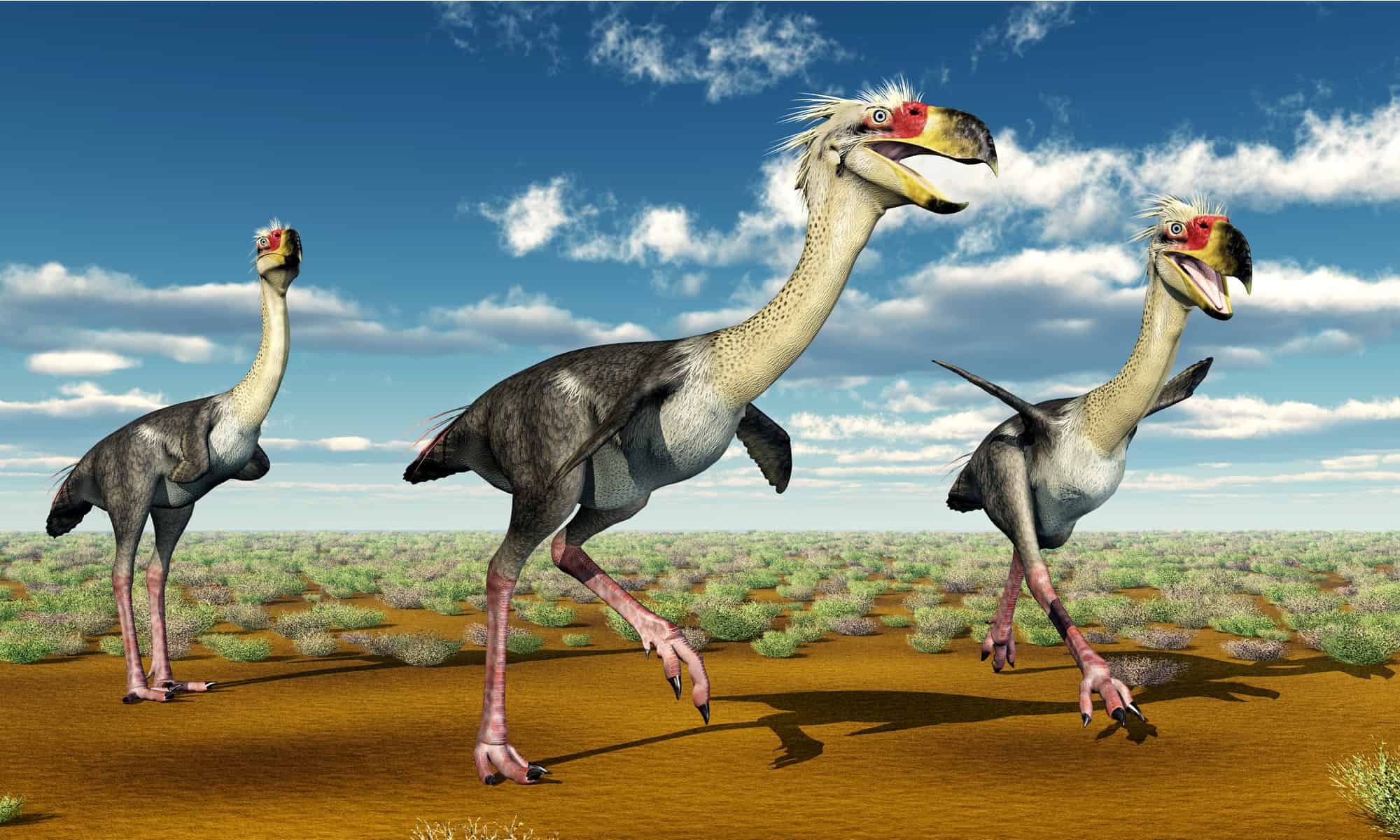 extinct birds with names extinct birds with names