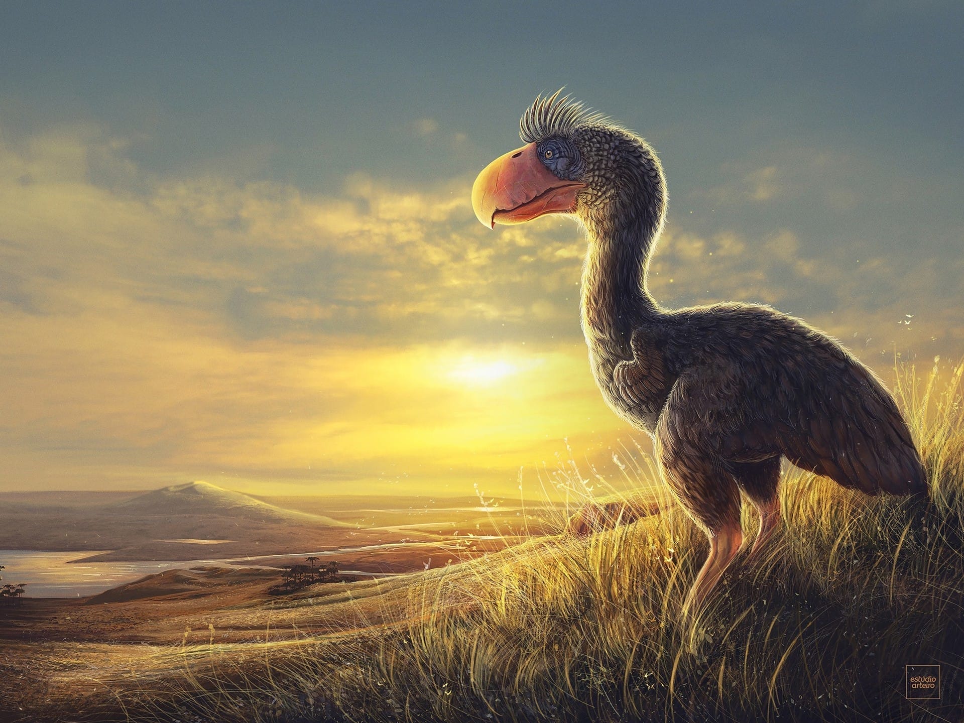 prehistoric birds with teeth prehistoric birds with teeth