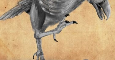 prehistoric birds that fly