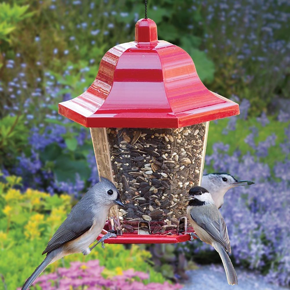 what birds won't eat safflower seeds