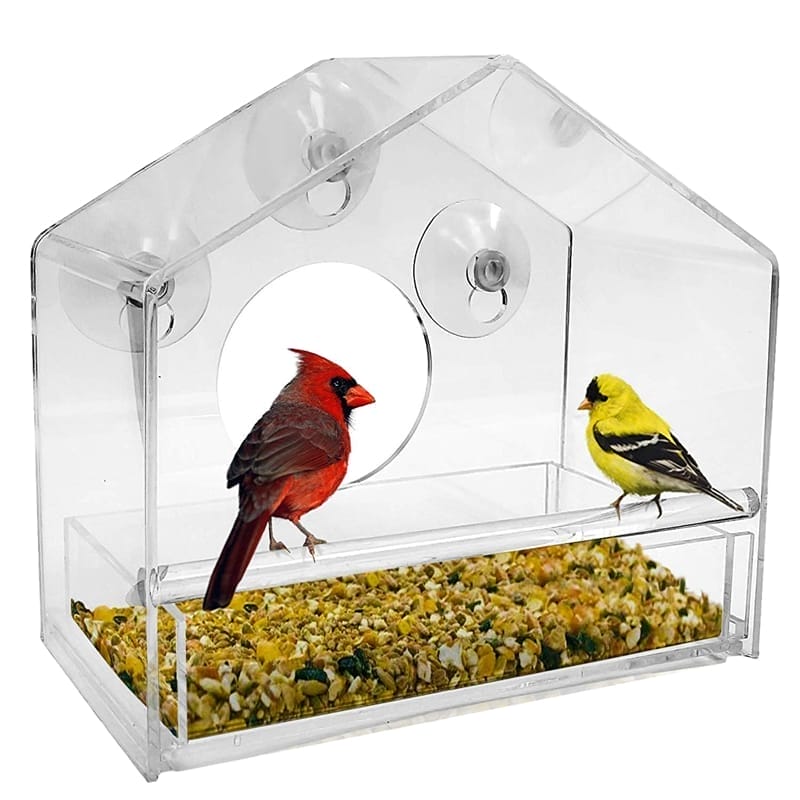 window bird feeder