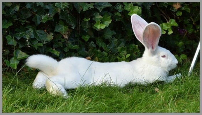 BeFunky collage 20 2