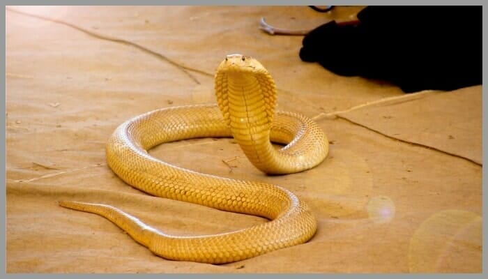 BeFunky collage 28 1