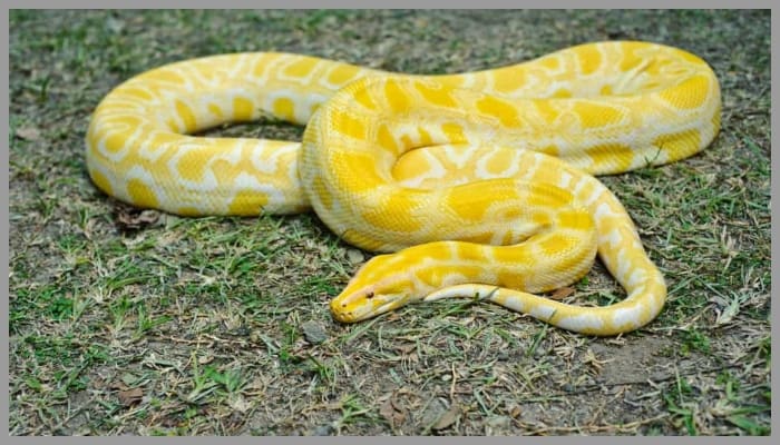 BeFunky collage 30 1