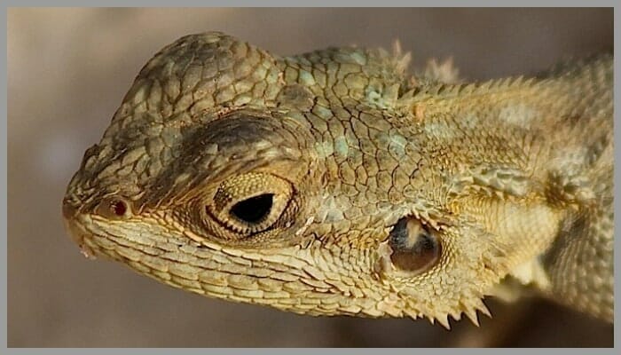 BeFunky collage 54 1