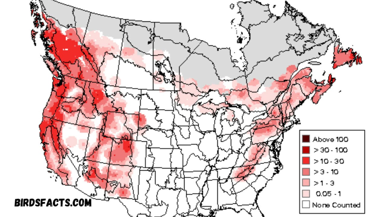 Habitat and Distribution of Junco