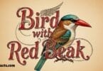 32 Beautiful Bird with Red Beak You Can See in Nature