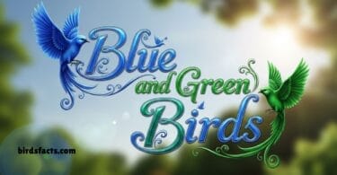 Blue and Green Birds You Will Love to See