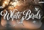 Unexpected White Birds You Can See in Your Backyard