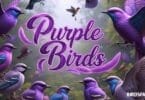 Purple Birds