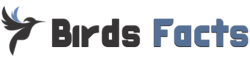 Birds Facts
