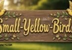 Fascinating Facts About Small-Yellow-Birds You Should Know