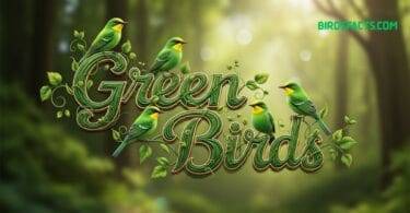 Top 34 Most Beautiful Green Birds in the World