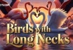 29 Birds with Long Necks That Will Leave You Amazed