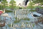 Florida Birds with Long Beaks