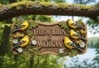 yellow-birds-in-michigan